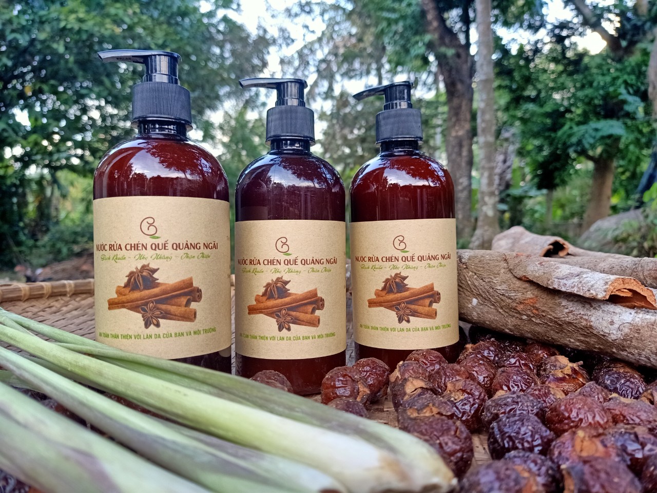 Nước rửa chén Quế Quảng Ngãi 500ml