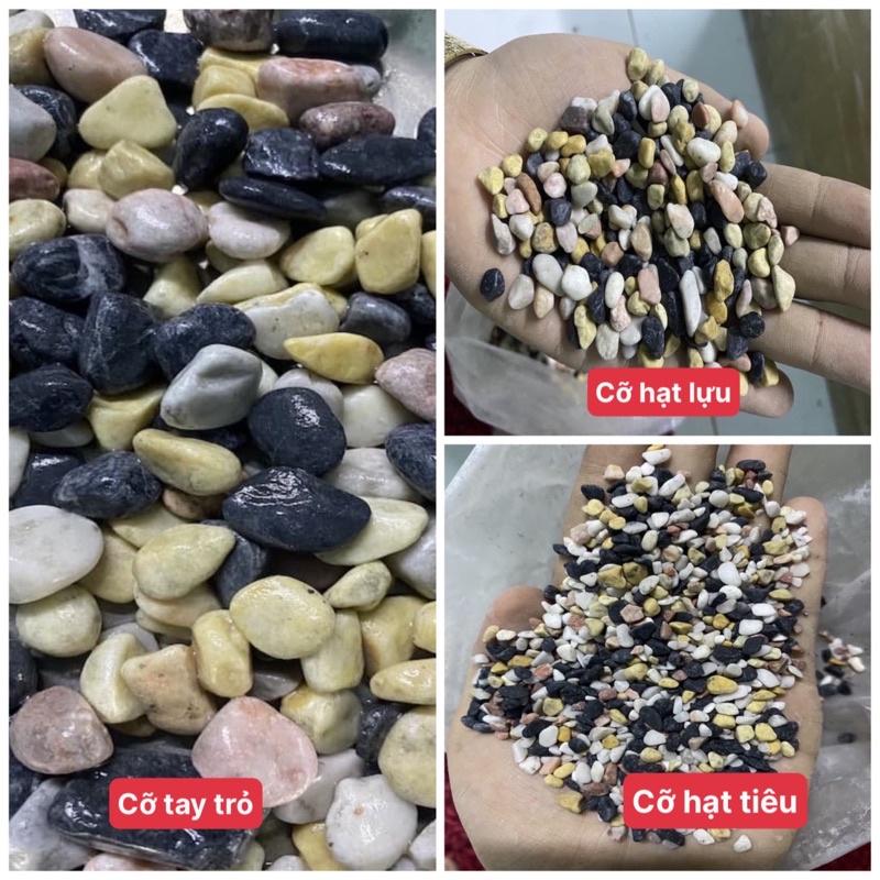 Sỏi 4 Màu Trang Trí Hồ Cá, Nhà Cửa, Chậu Cây, Hoa 1KG