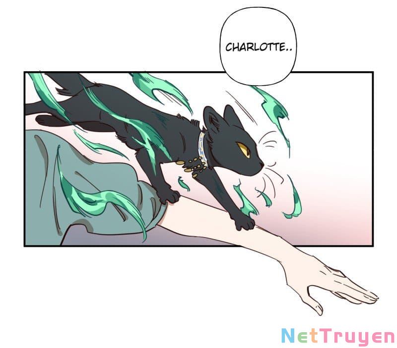 lumine - cội nguồn ánh sáng chapter 77 12