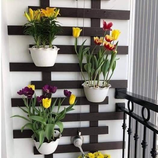 10 chậu áp tường siêu đẹp, chậu treo tường