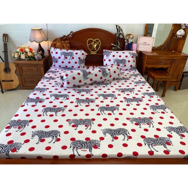 Drap thun hàn quốc