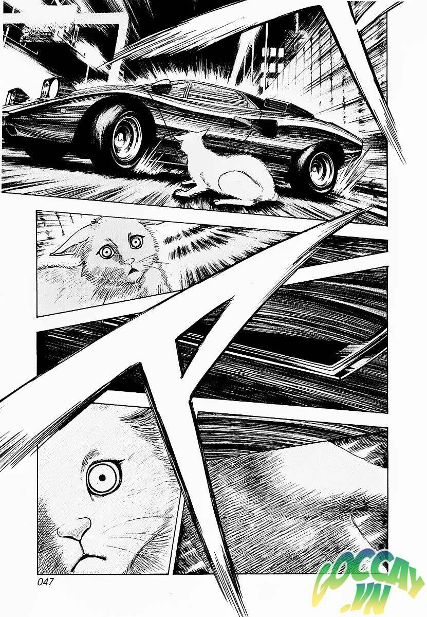 countach chapter 16.5 24