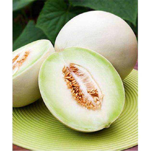 Combo 2 gói hạt giống dưa lê bạch tuyết dể trồng-gói 10 hạt/tặng kèm gói phân bón lót