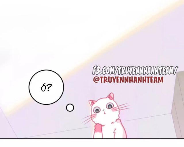 xã hội mèo chapter 1 13