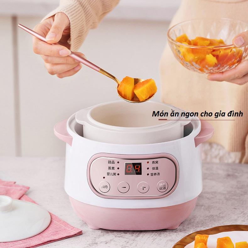 Nồi Hầm Cháo 6 Chế Độ (Giao Màu Ngẫu Nhiên) - Hàng Loại 1