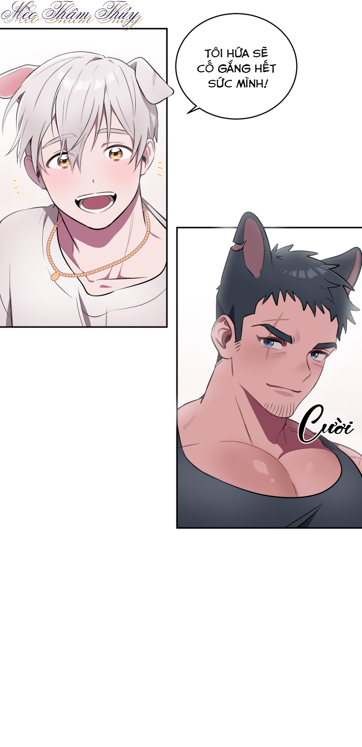 tình đầu chapter 1 43