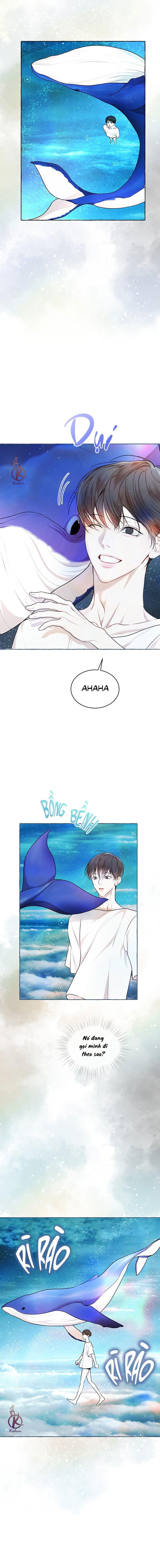 hình thái khởi sinh chapter 76 10