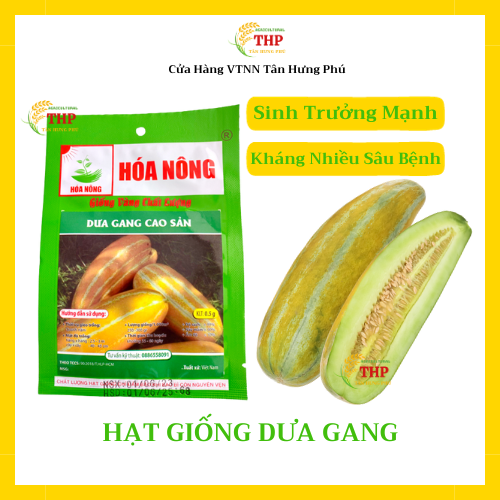 Hạt giống Dưa Gang Cao Sản | Hạt Giống | gói 0.5gr