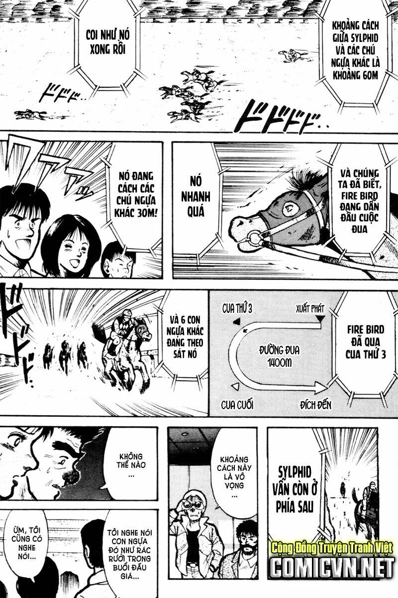 kaze no sylphid - phong mã silphid chapter 14 15