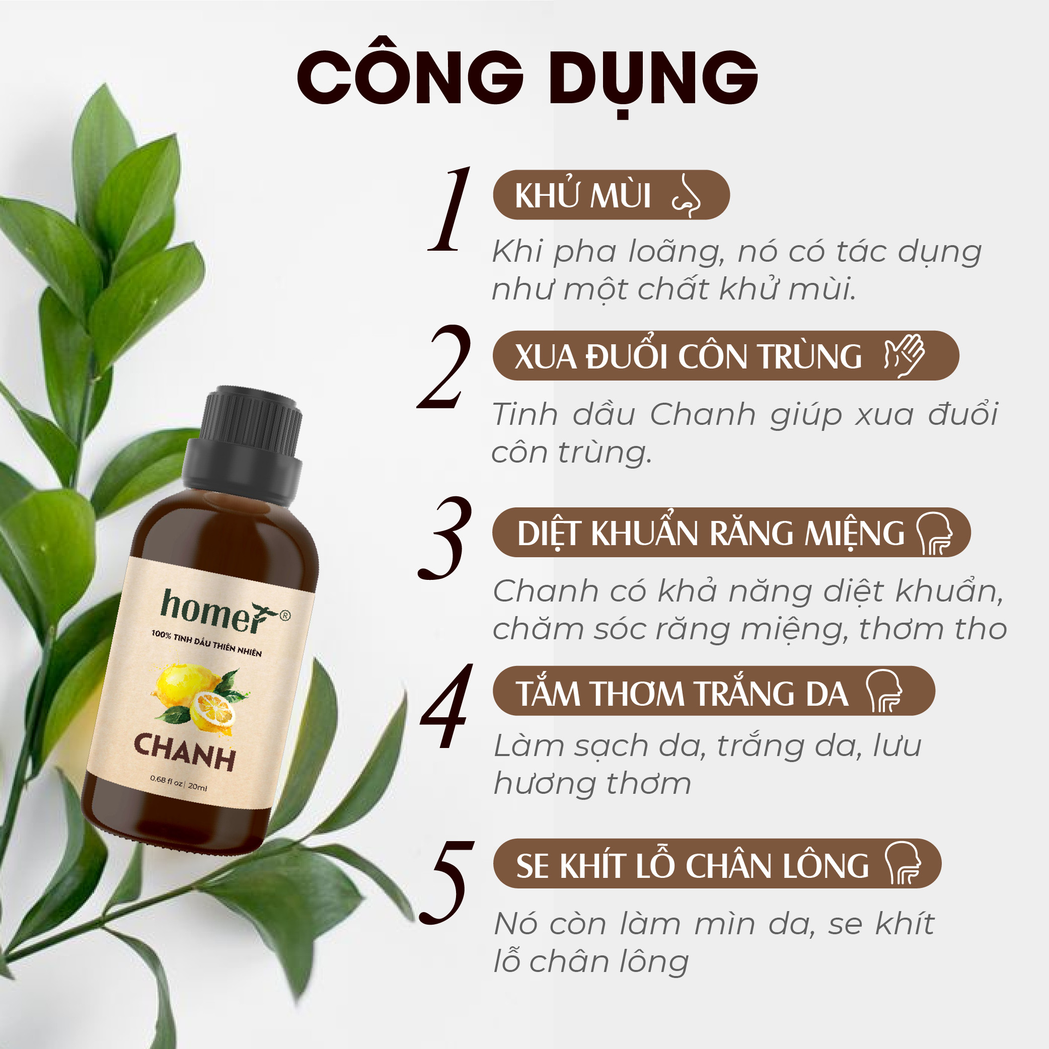 Tinh Dầu Chanh Homer 100ml - Chính Hãng, Đạt Chuẩn Kiểm Định Cao Cấp - Tinh Dầu Xông Thơm Phòng, Thư Giãn, Khử Mùi hiệu quả