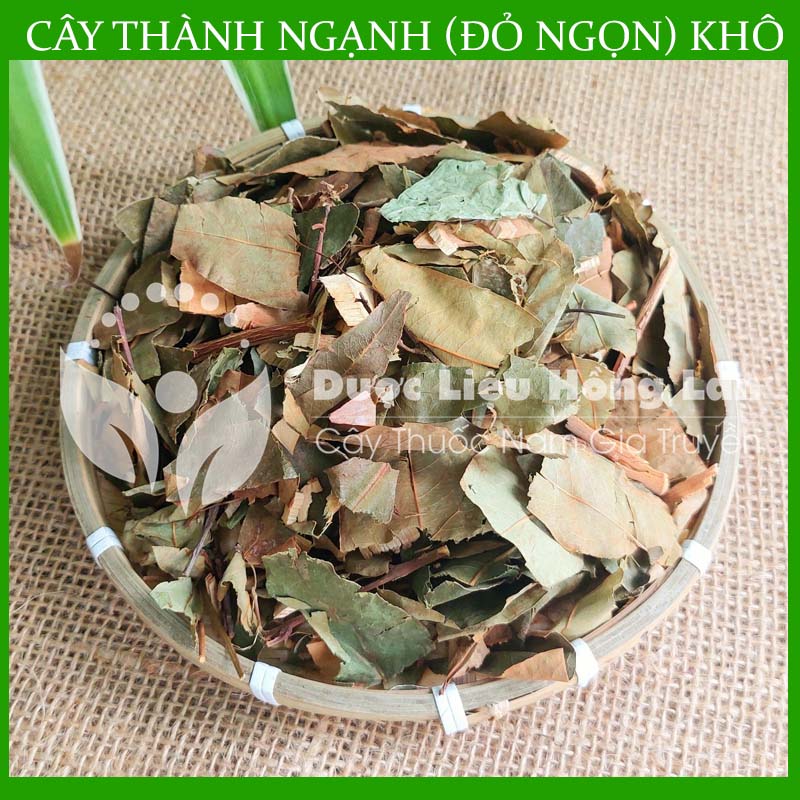 1kg Cây Đỏ Ngọn khô sạch loại 1