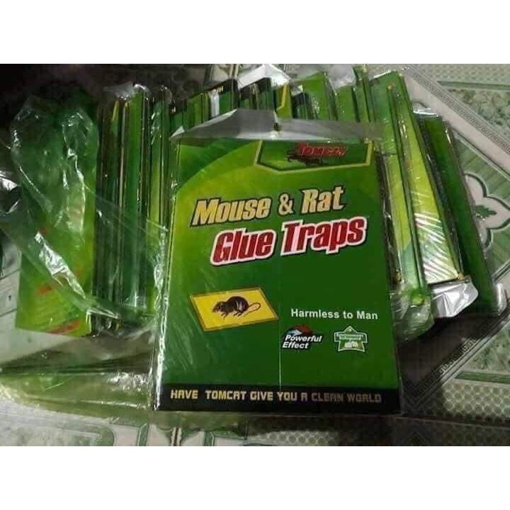 Keo dính bẫy chuột siêu dính Mouse traps xanh trắng