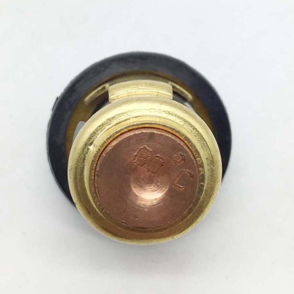 Thermostat Replacement for Boat Motor 6G8-12411-03 62Y-12414-00