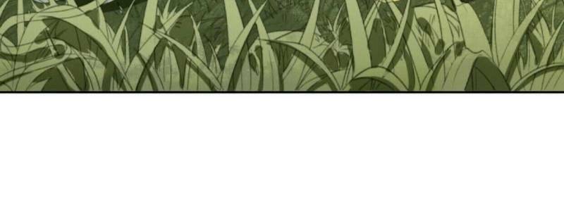 sủng phi của vương chapter 167 29