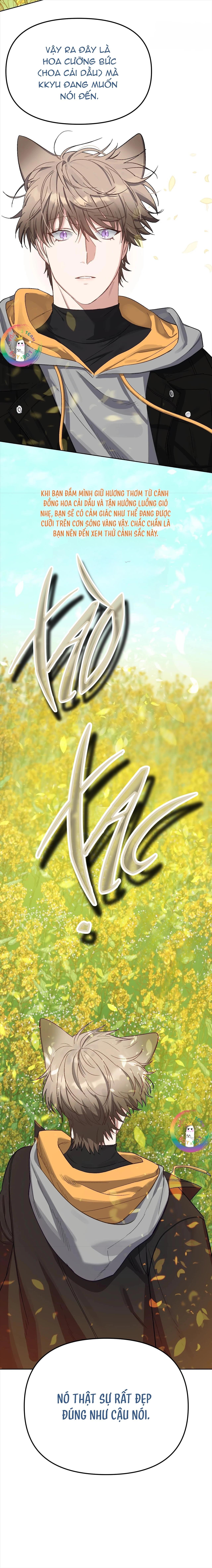 thỏ xuất tinh trong vòng 3 giây chapter 1 35