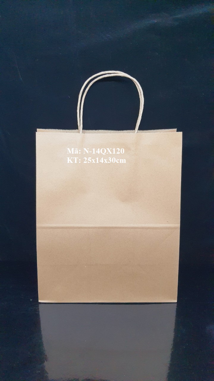 TÚI QUAI XÁCH LỚN ĐỊNH LƯỢNG 120gsm, 25x14x30cm