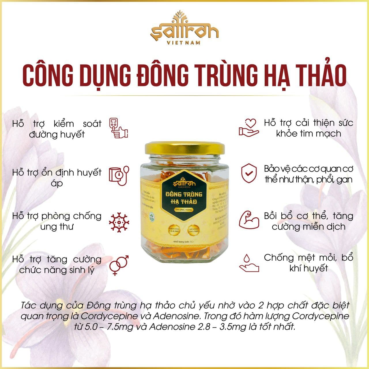 Đông trùng hạ thảo thượng hạng sấy khô hũ Saffron Việt Nam 5Gr