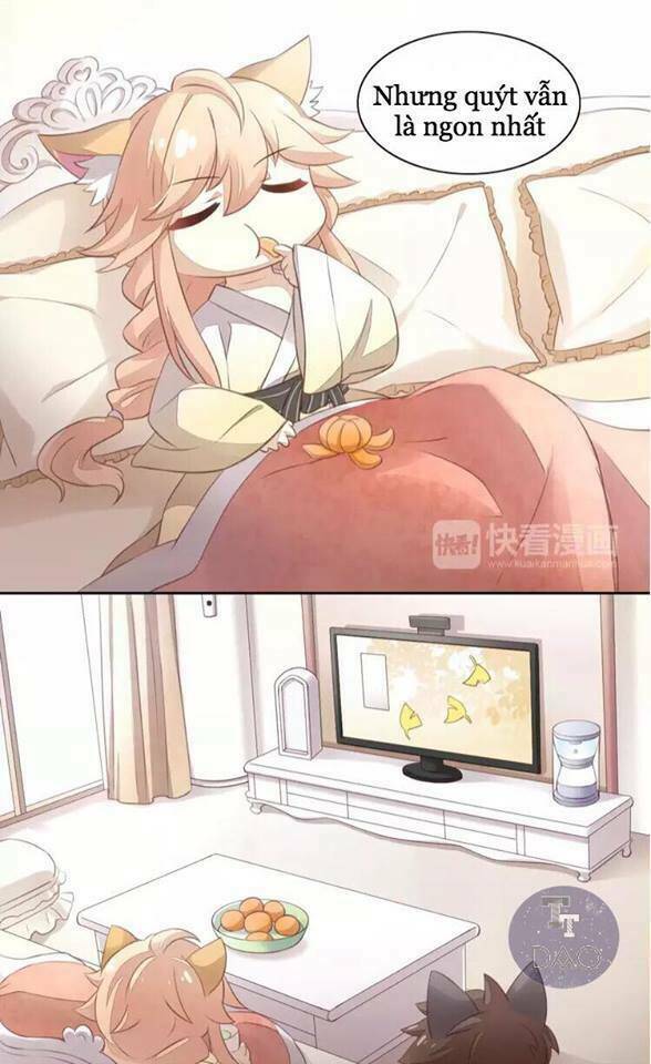 dưới móng vuốt mèo chapter 18 3