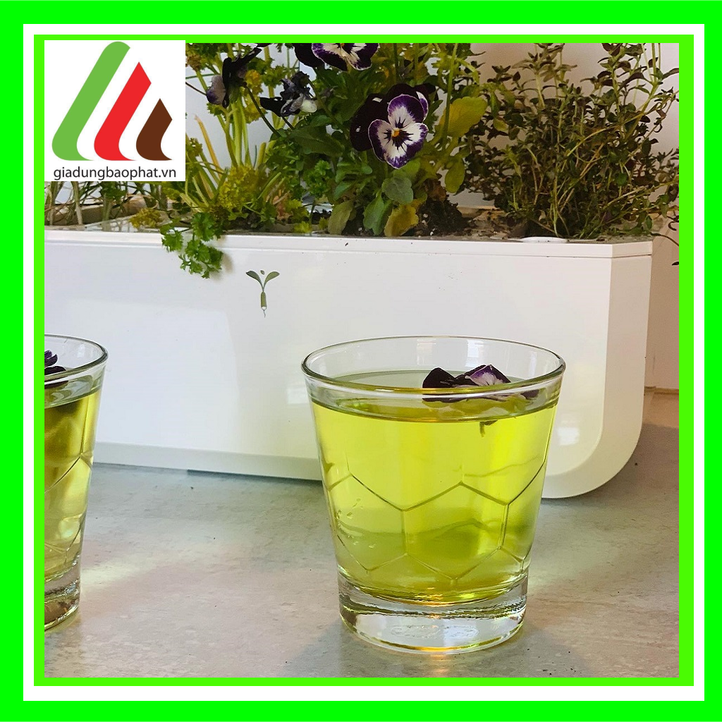 Bộ 6 ly Thủy tinh cường lực cao cấp Pháp Duralex Hexagone Trong suốt 300ml 350ml