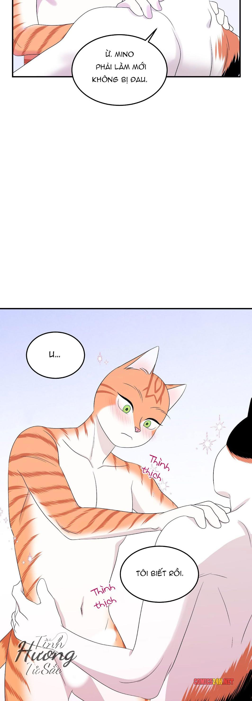 dự án xanh chapter 6 38