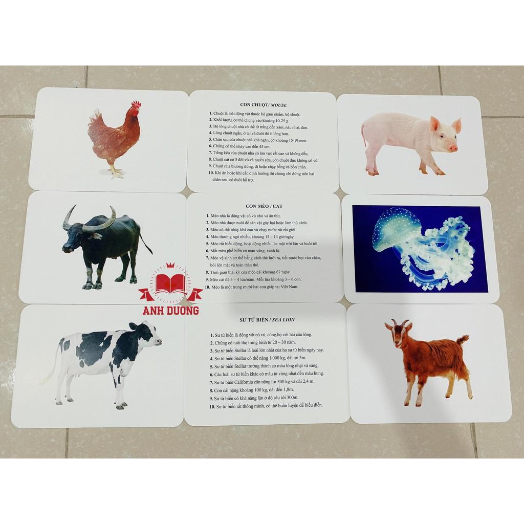 THẺ HỌC THẾ GIỚI XUNG QUANH - 10 CHỦ ĐỀ - 100 THẺ- Flash Card chuẩn phương pháp giáo dục sớm