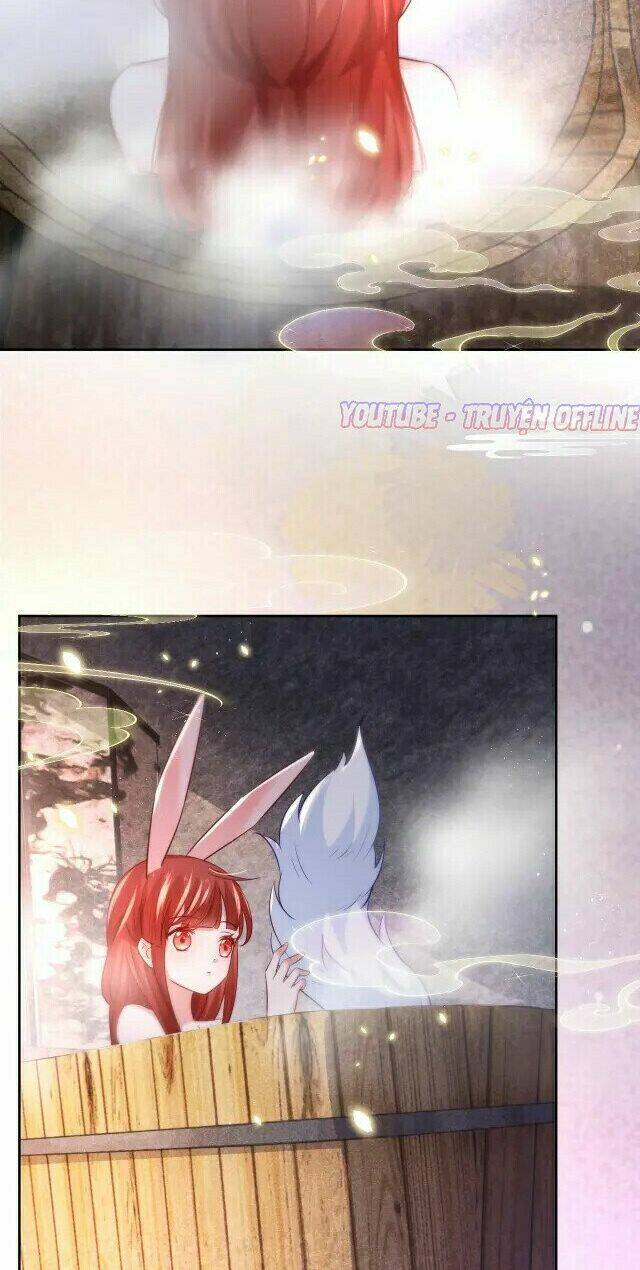 hắc hóa nam chính trực tuyến nuôi thỏ chapter 31 28