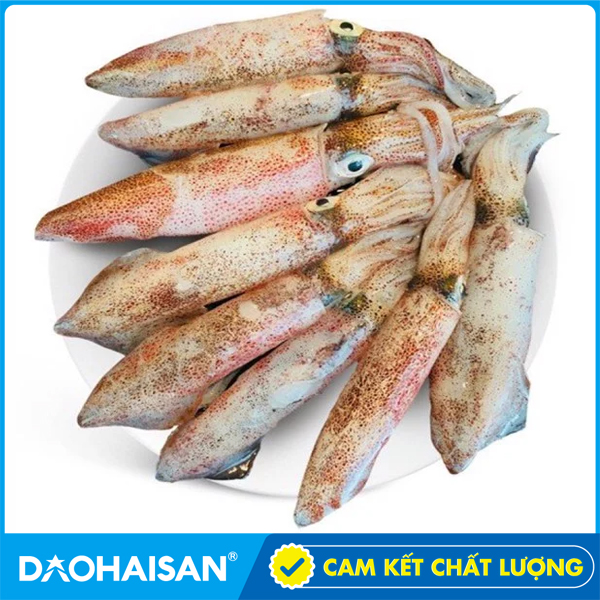 Mực Ống Size S Khay 500g