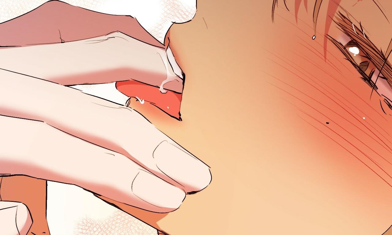 đàn thỏ của habibi chapter 43 261