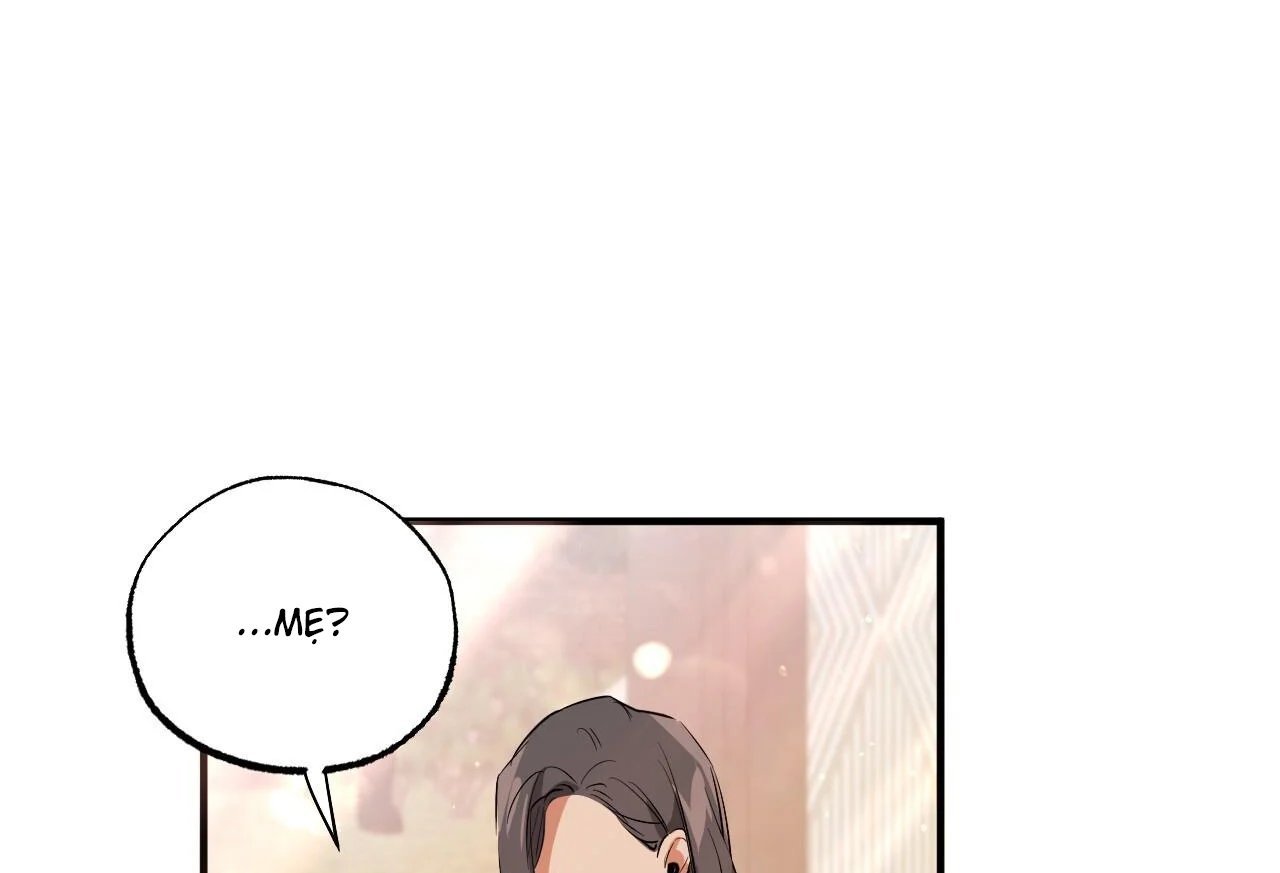 những chú thỏ của hapypy chapter 65 15