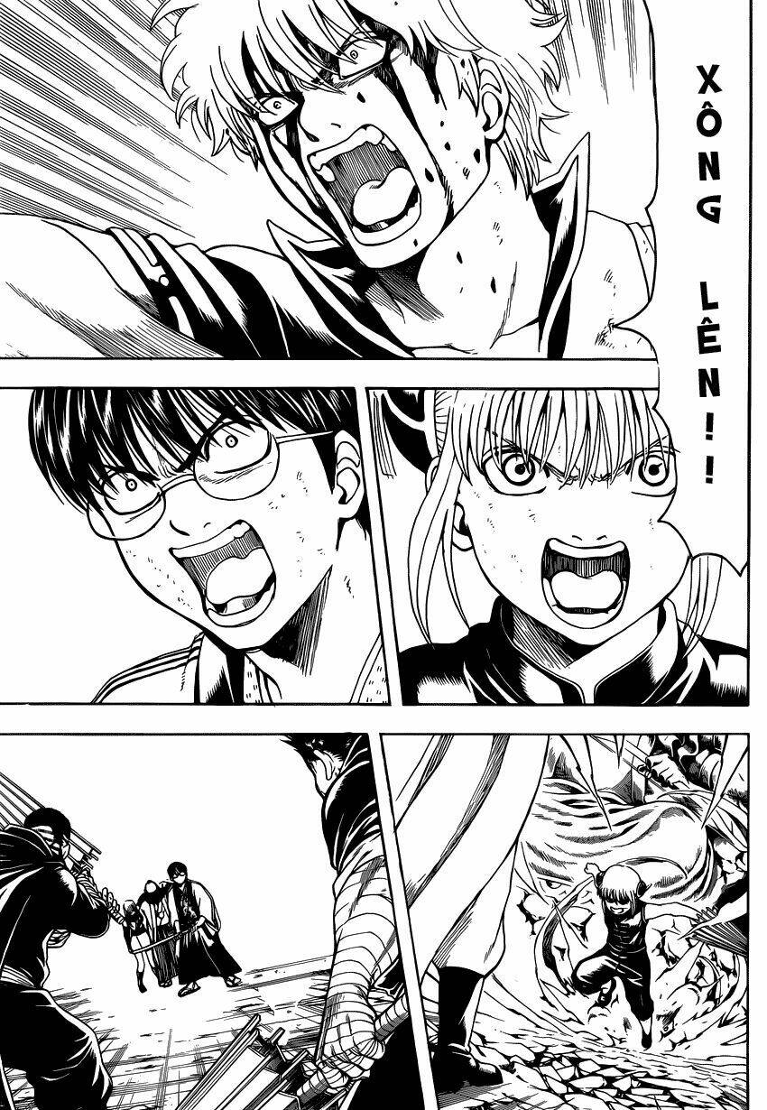 gintama - linh hồn bạc chapter 490 6