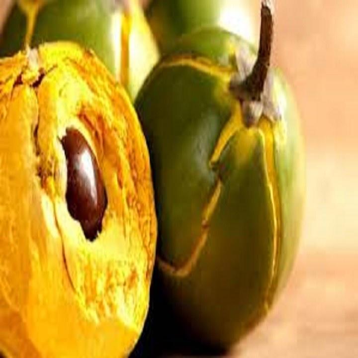 CÂY TRỨNG GÀ - Lê ki ma - CÂY TRỨNG GÀ - Lê ki ma
