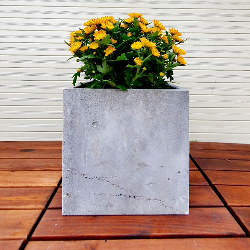 Chậu trồng cây xinh xắn chất liệu đá tự nhiên KT R20xC20xD20cm