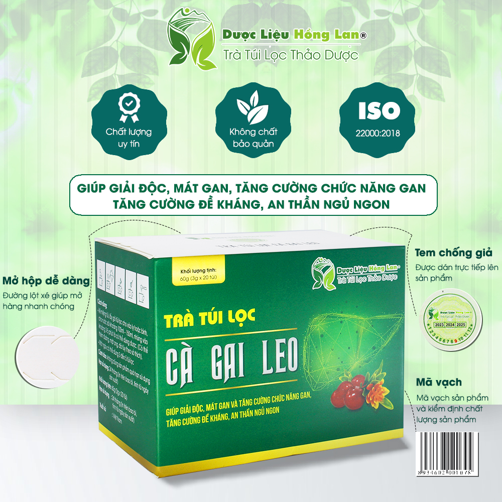 Trà Túi Lọc Cà Gai Leo 60g (20gói x 3g) Dược Liệu Hồng Lan