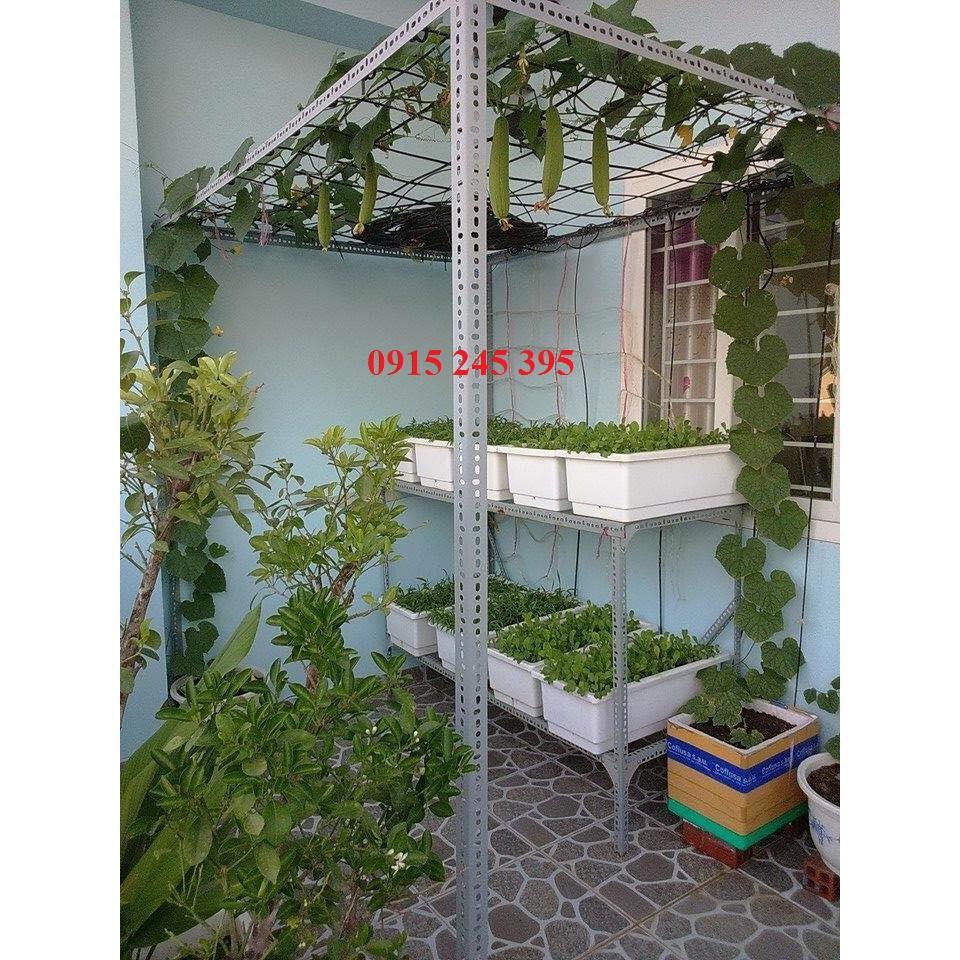 Kích thước dài : 25cm