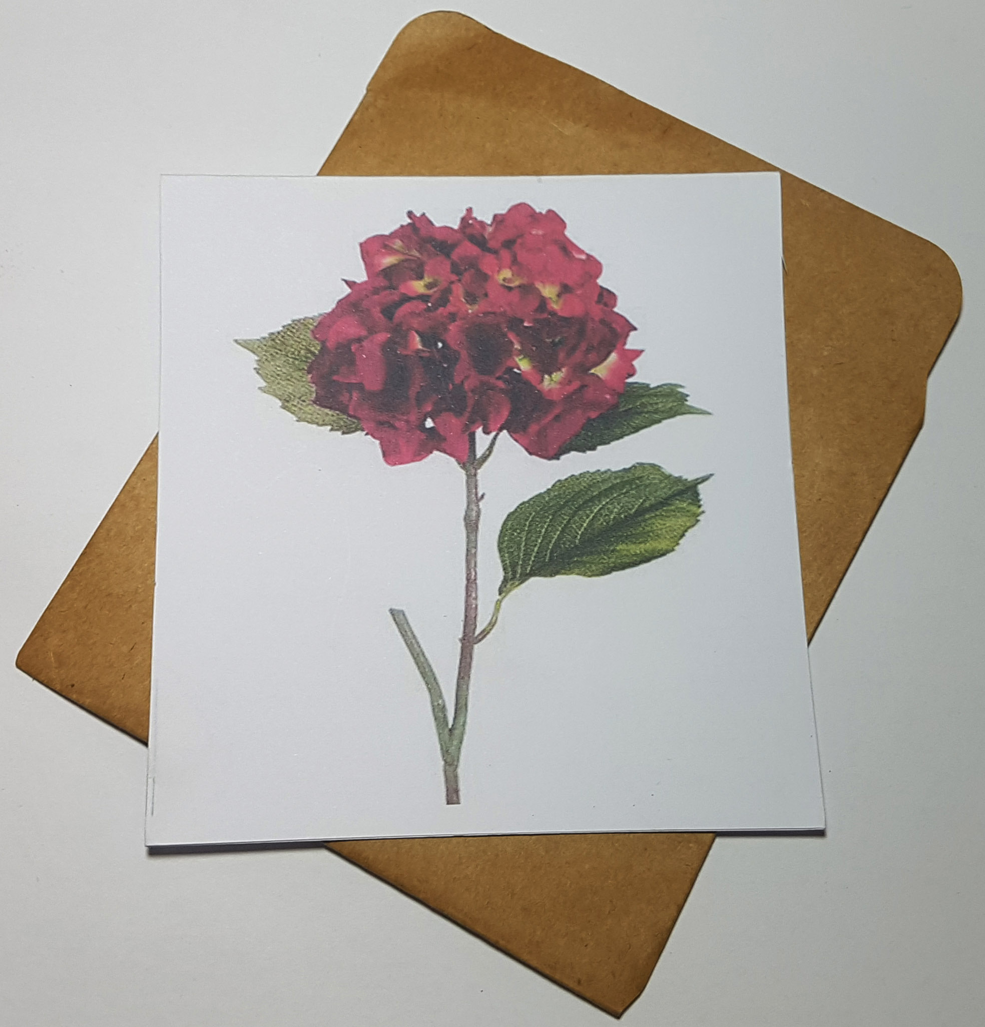 Thiệp phong cách Vintage card quà cám ơn ,chúc mừng sinh nhật và giử tặng người thân yêu.