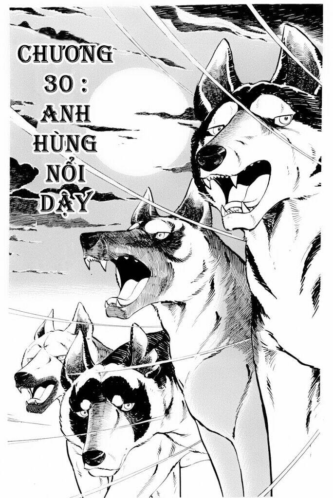chú chó có nghĩa - ginga nagareboshi gin chapter 30 3