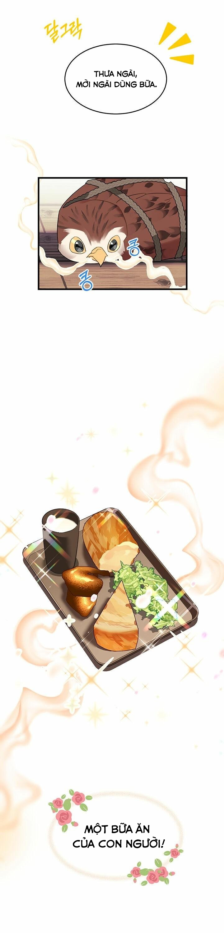 công chúa chim ưng cavier chapter 4 21