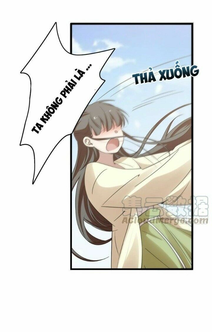 độc bộ thiên hạ: đặc công thần y chapter 202 19