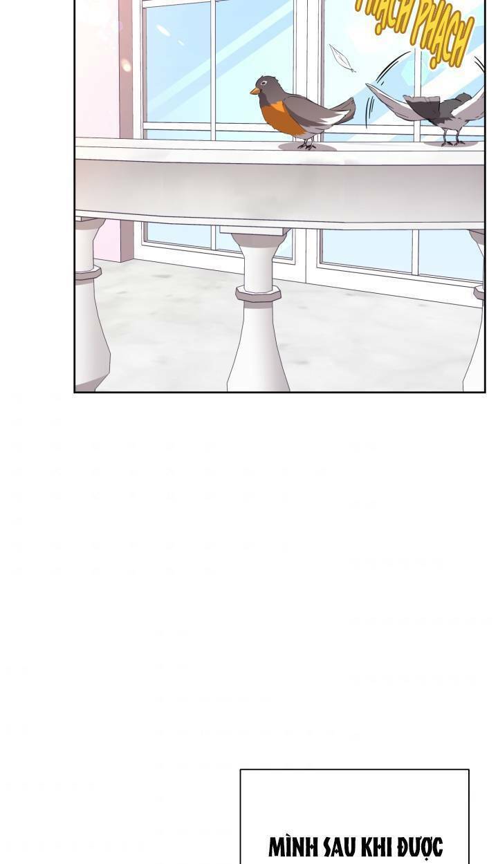 gửi đến người bạn của tôi chapter 15 41