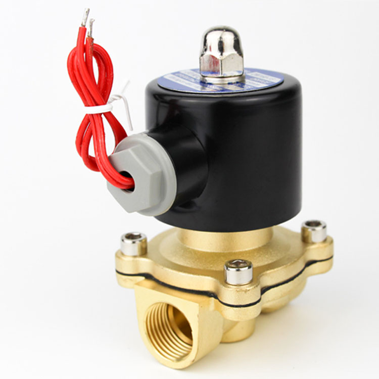 Van điện từ 2W-250-25 24V ren 32mm