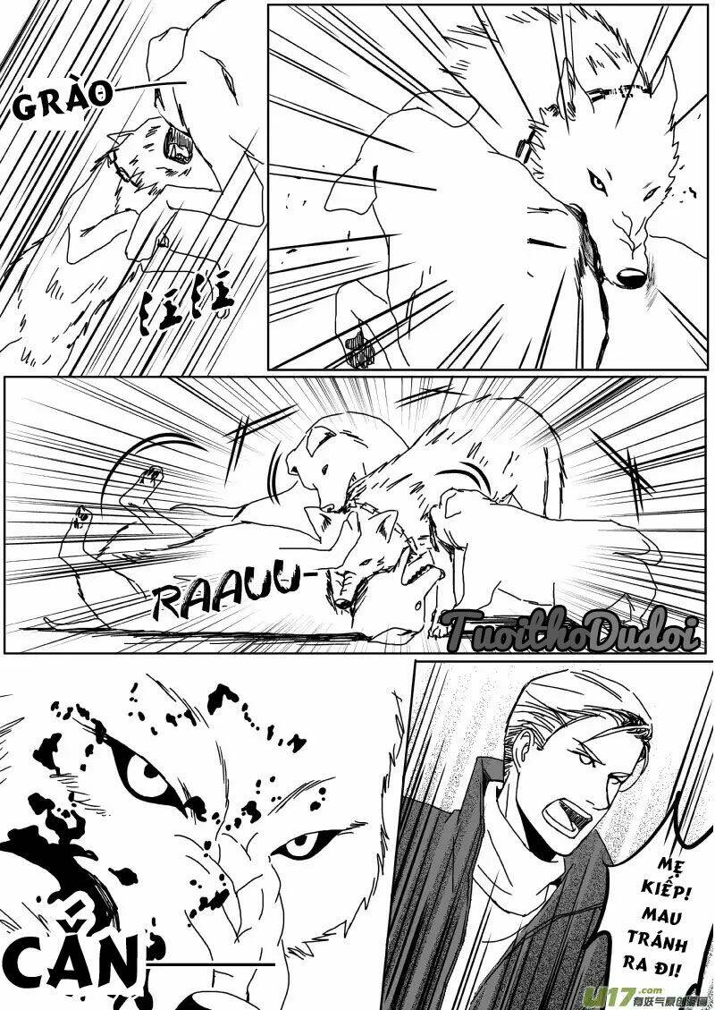 sự mê hoặc của sói chapter 39 9