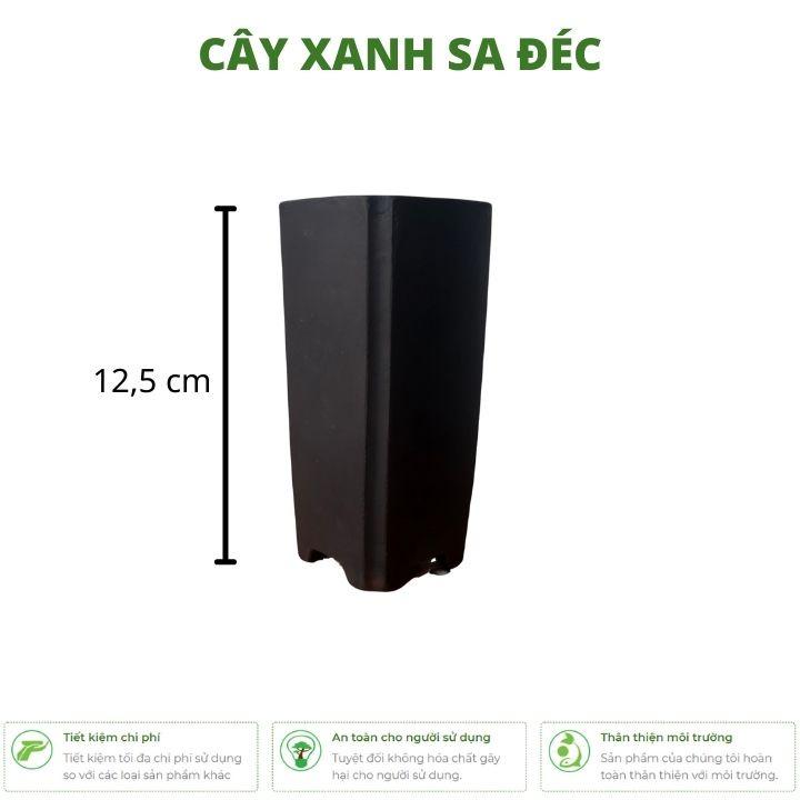 Chậu vuông mini cắt cạnh dáng cao CK2 trồng cây, hoa, bonsai mini trang trí bàn làm việc, văn phòng, nhà cửa