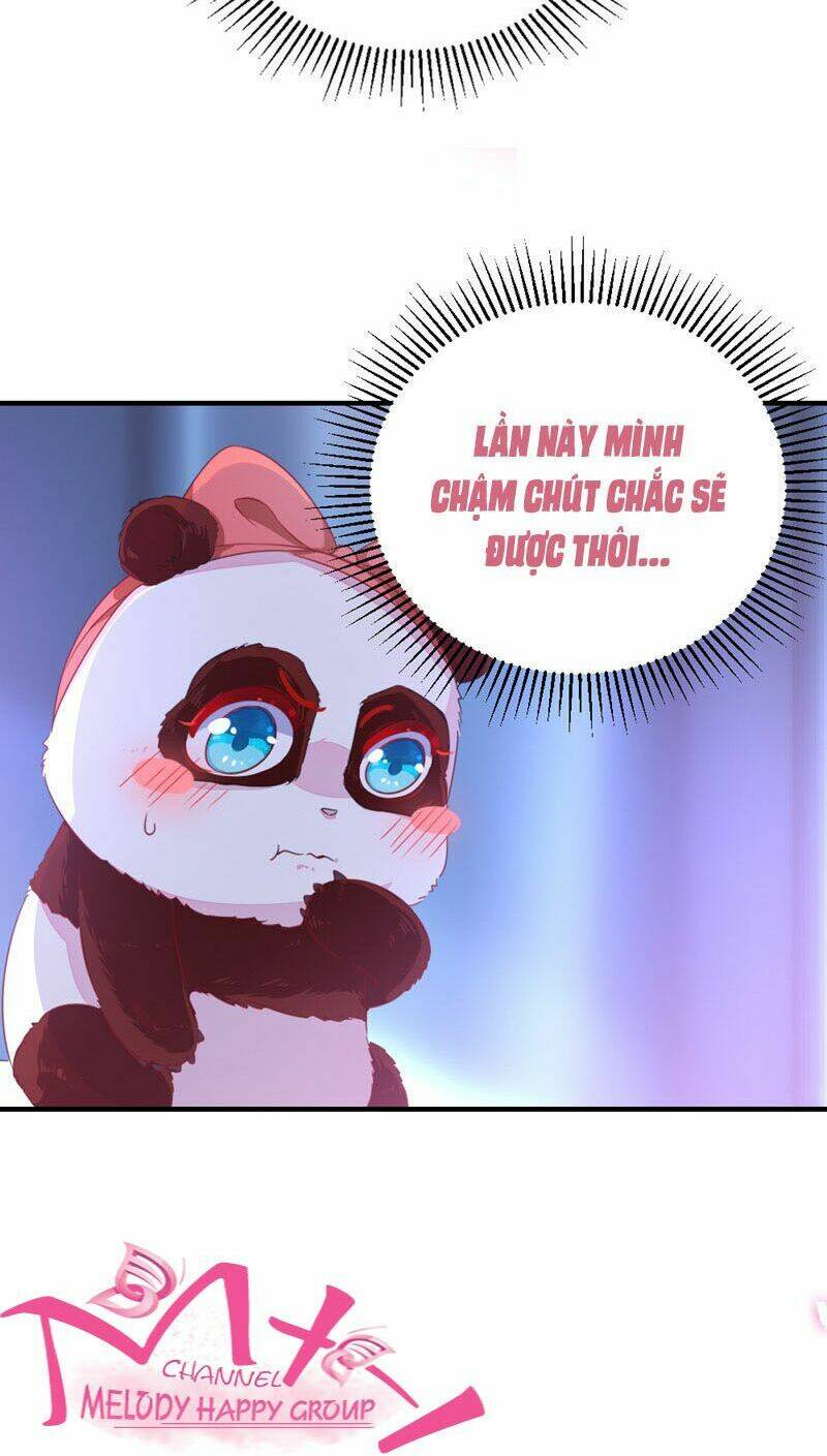 thiên thần gấu trúc muốn được ôm chapter 30 5