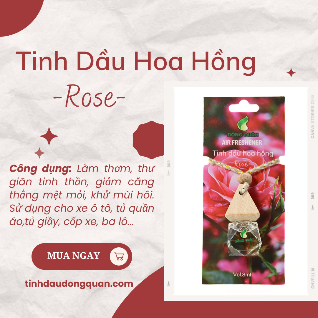 Tinh Dầu Treo Xe Ô Tô, Phòng Ngủ, Nhà Vệ Sinh, Tủ Quần Áo, Tủ Giầy, Bỏ Cốp Xe, Balo Giúp Làm Thơm, Thư Giãn, Khử Mùi Hôi
