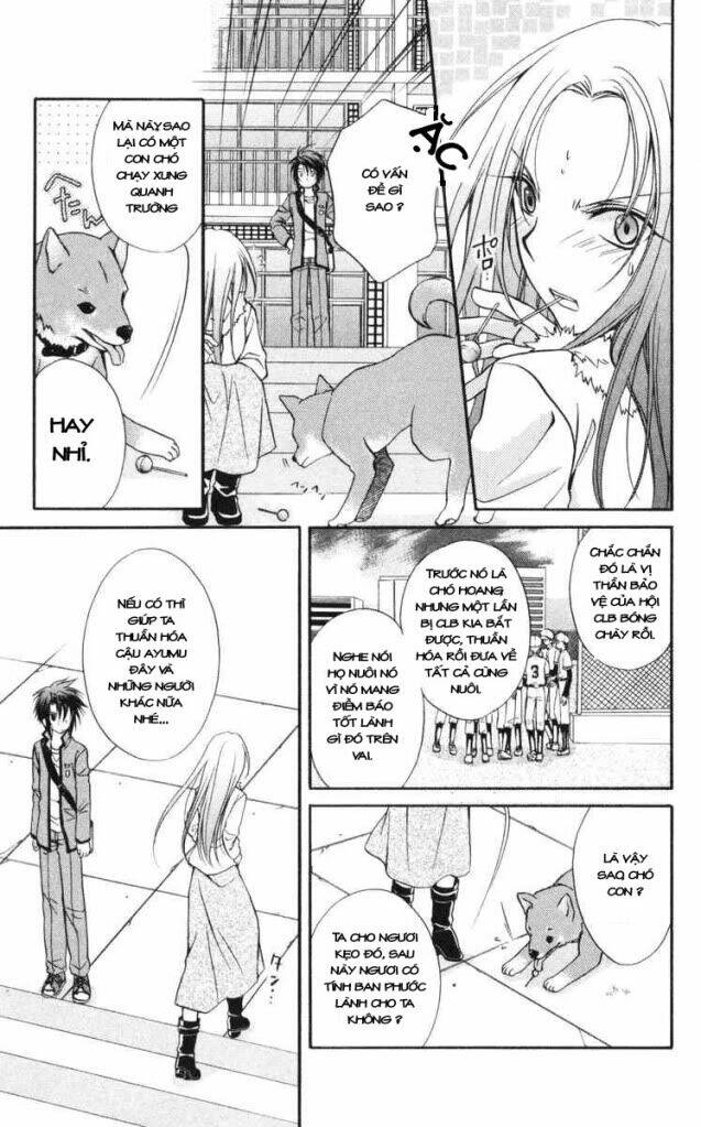 spiral: suiri no kizuna chapter 62 7