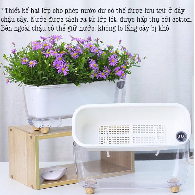 Chậu cây để bàn Oliz Gerta 211. Chậu trồng cây có chức năng tự tưới màu trắng trong