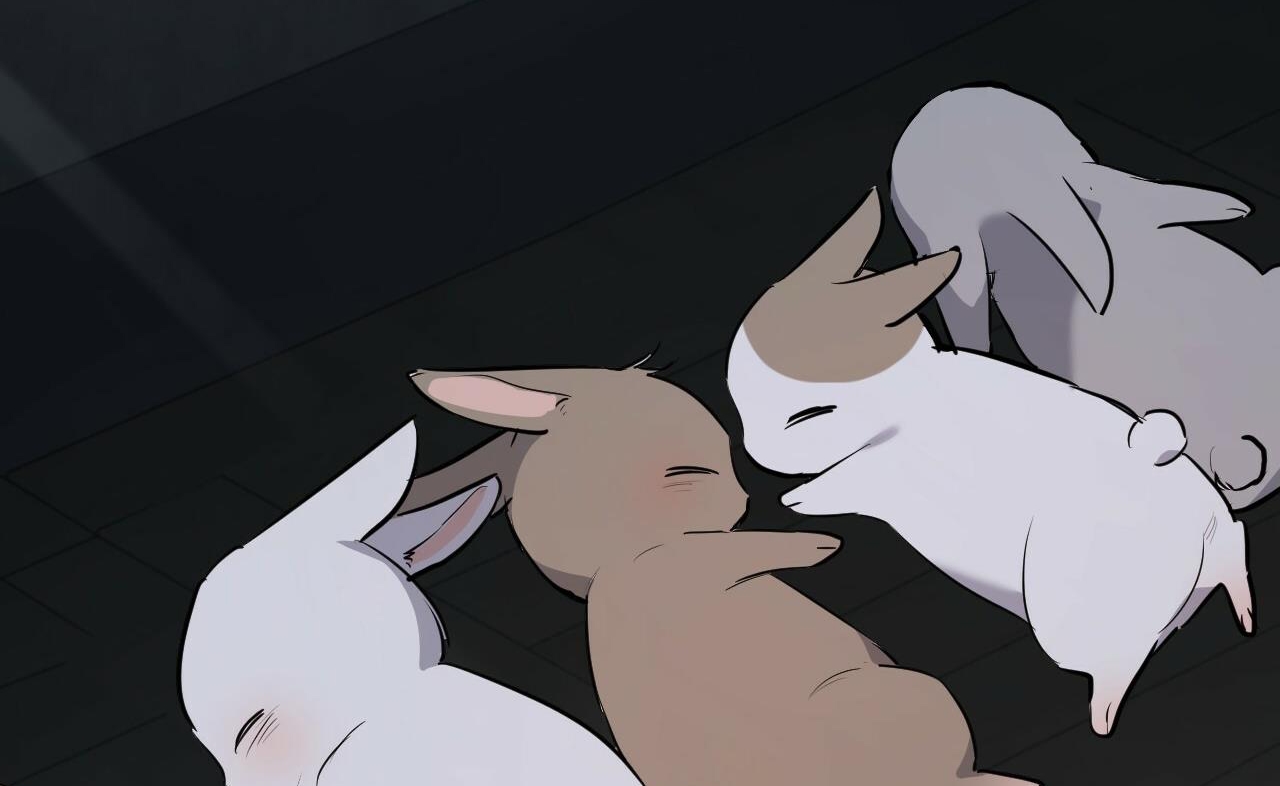 đàn thỏ của habibi chapter 46 67