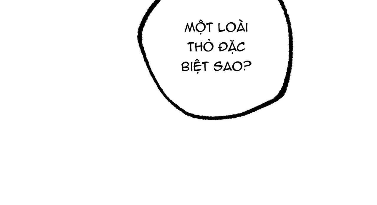 đàn thỏ của habibi chapter 47 118