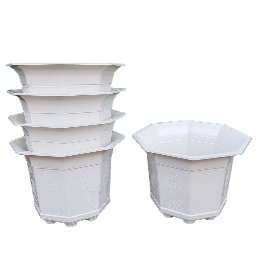 Combo 5 chậu nhựa bát giác trắng