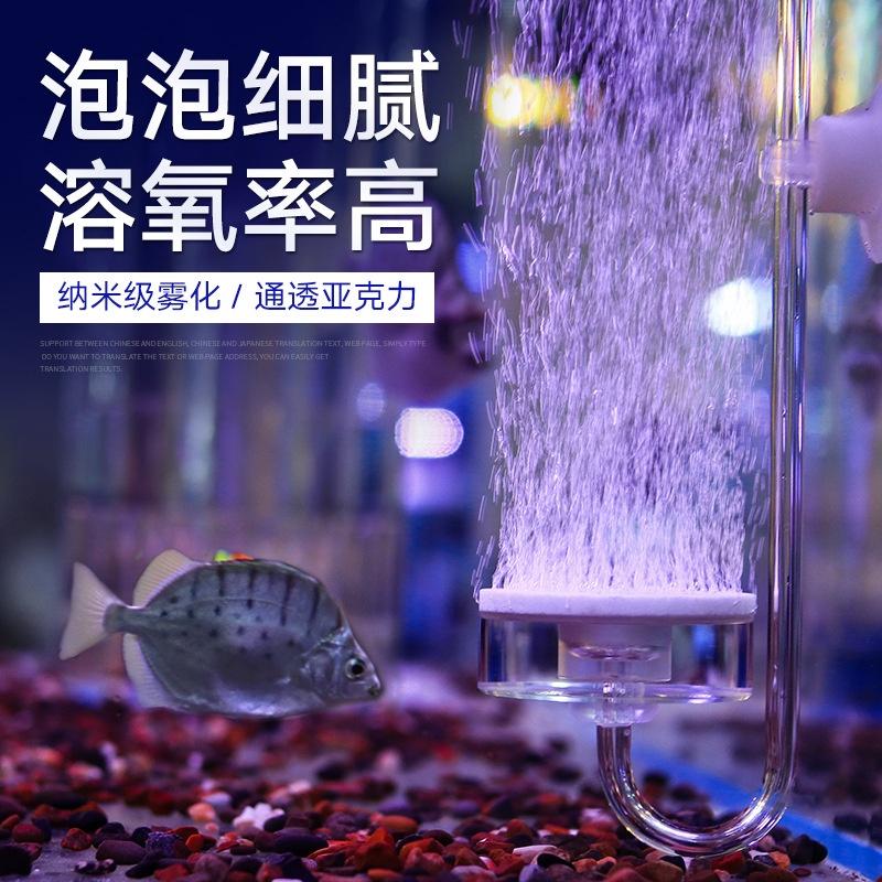 SỦI OXY SIÊU MỊN - SỦI OXY HỒ CÁ - HỒ THỦY SINH - ĐĨA SỦI MỊN
